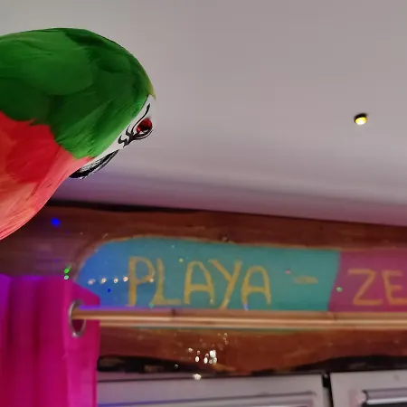 Wonder Paraiso Magico A 2 Min De La Playa Oda ve Kahvaltı Nerja